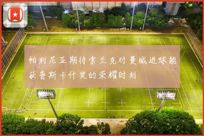 帕利尼亚期待索兰克对曼城进球能获普斯卡什奖的荣耀时刻